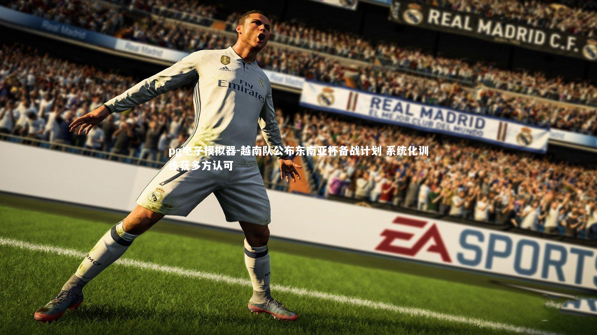 pg电子模拟器-越南队公布东南亚杯备战计划 系统化训练获多方认可